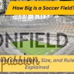 How Big is a Soccer Field? Field Dimensions, Size, and Rules Explained